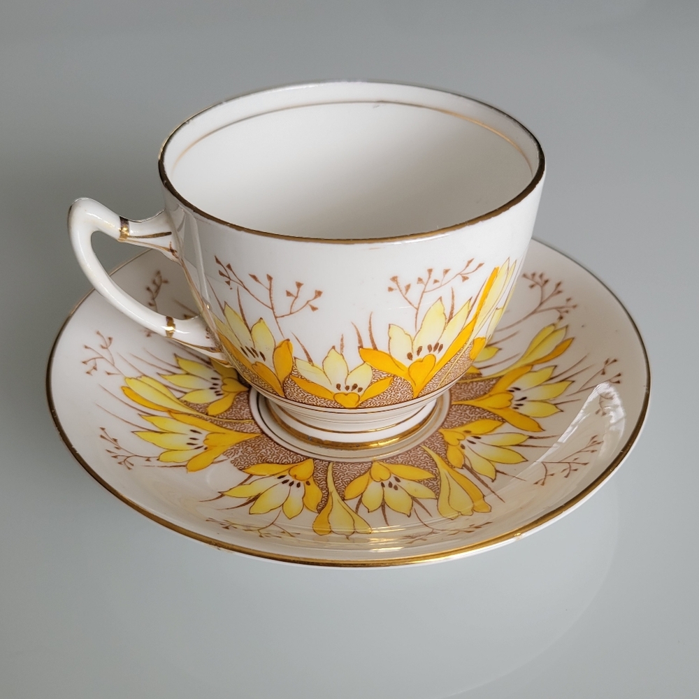 1940s Vintage Roslyn China Alba Teacup and Saucer Set